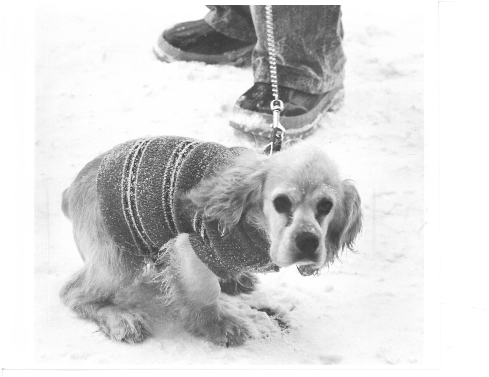 January 1978